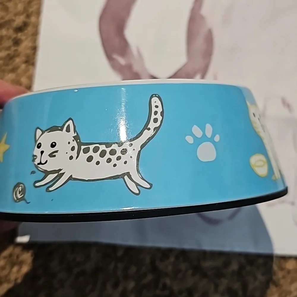 Cat Flag & Bowl Bundle